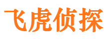 鼎城私家侦探公司